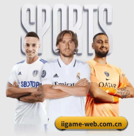 iigame-web.com.cn的方向
